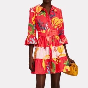 Farm Rio Red Fruit Dress